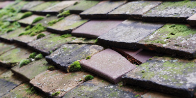 Tendring roof repair costs